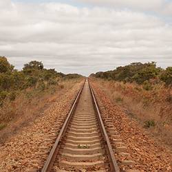 Train safari