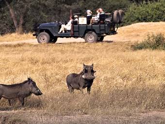 Tour package image