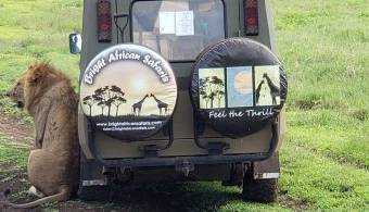 Tour package image