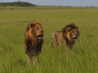 Tour package image