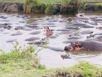 Tour package image