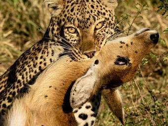 Tour package image