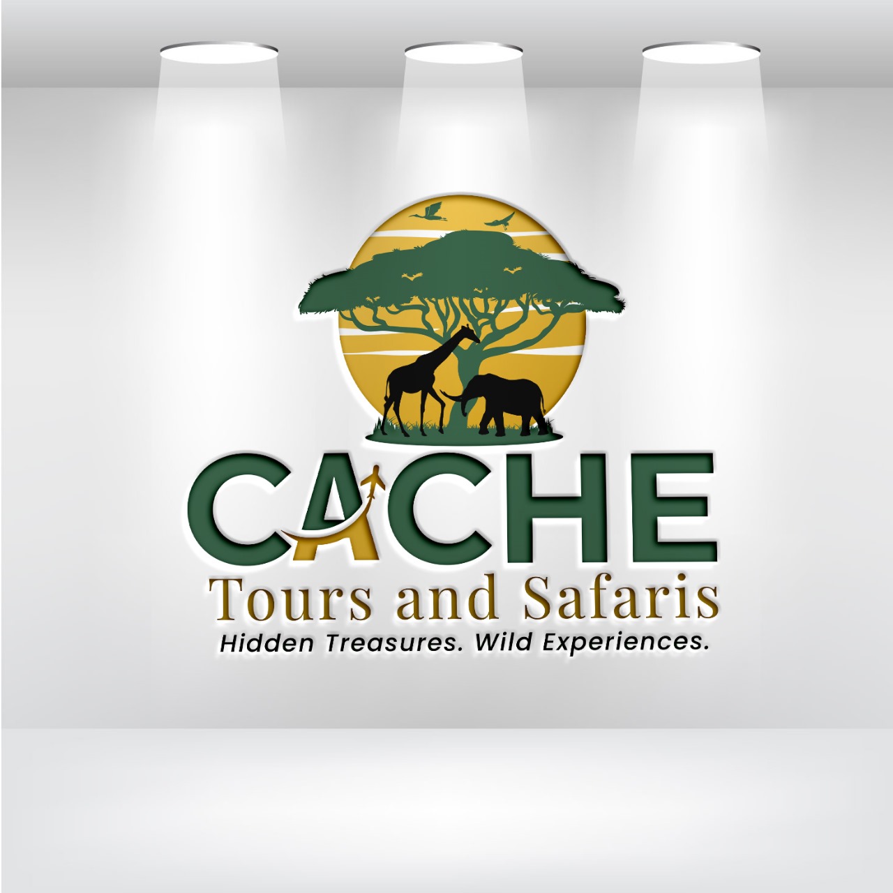 company logo