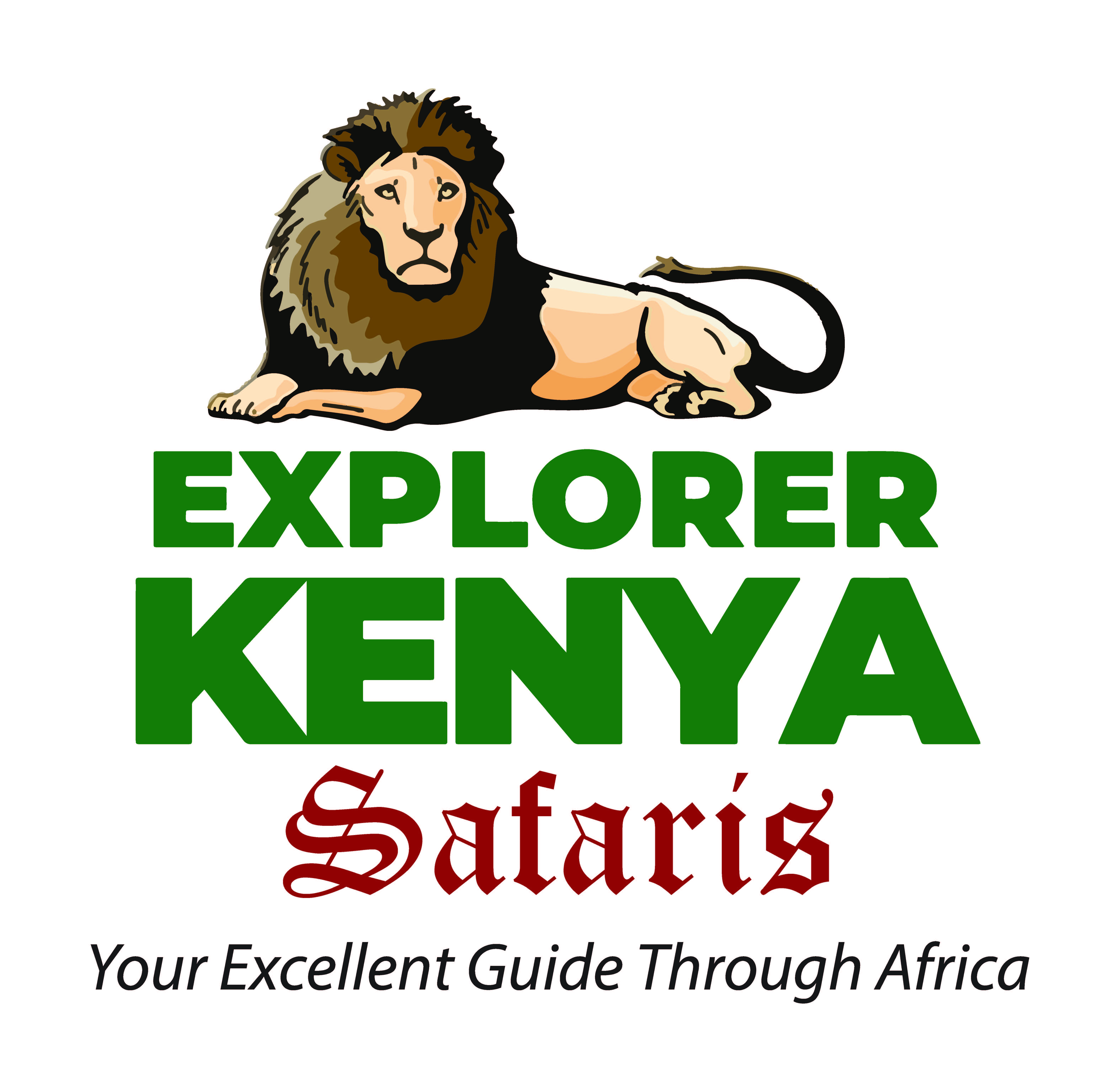 company logo