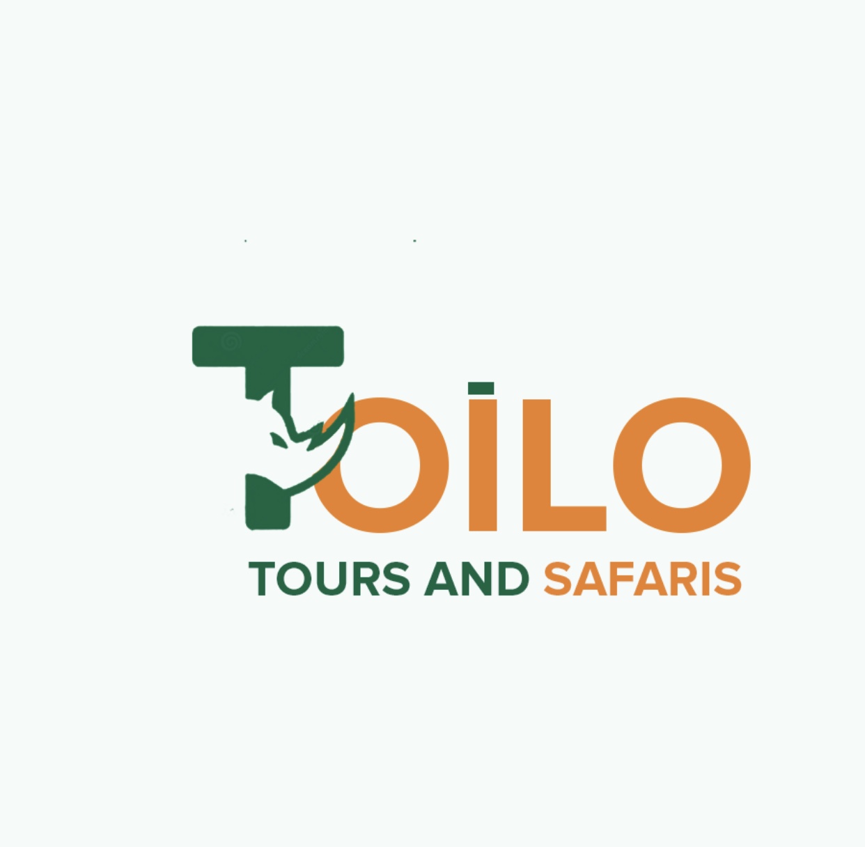 company logo