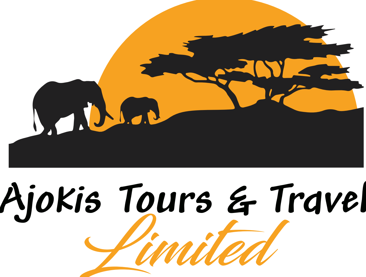 company logo