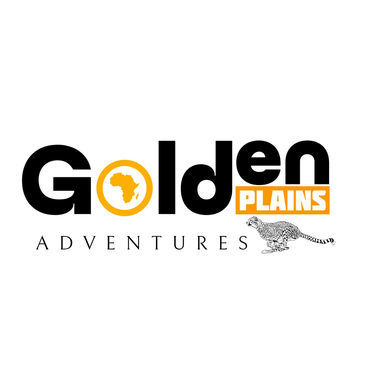 company logo