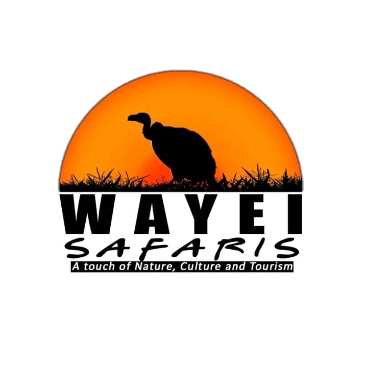 company logo