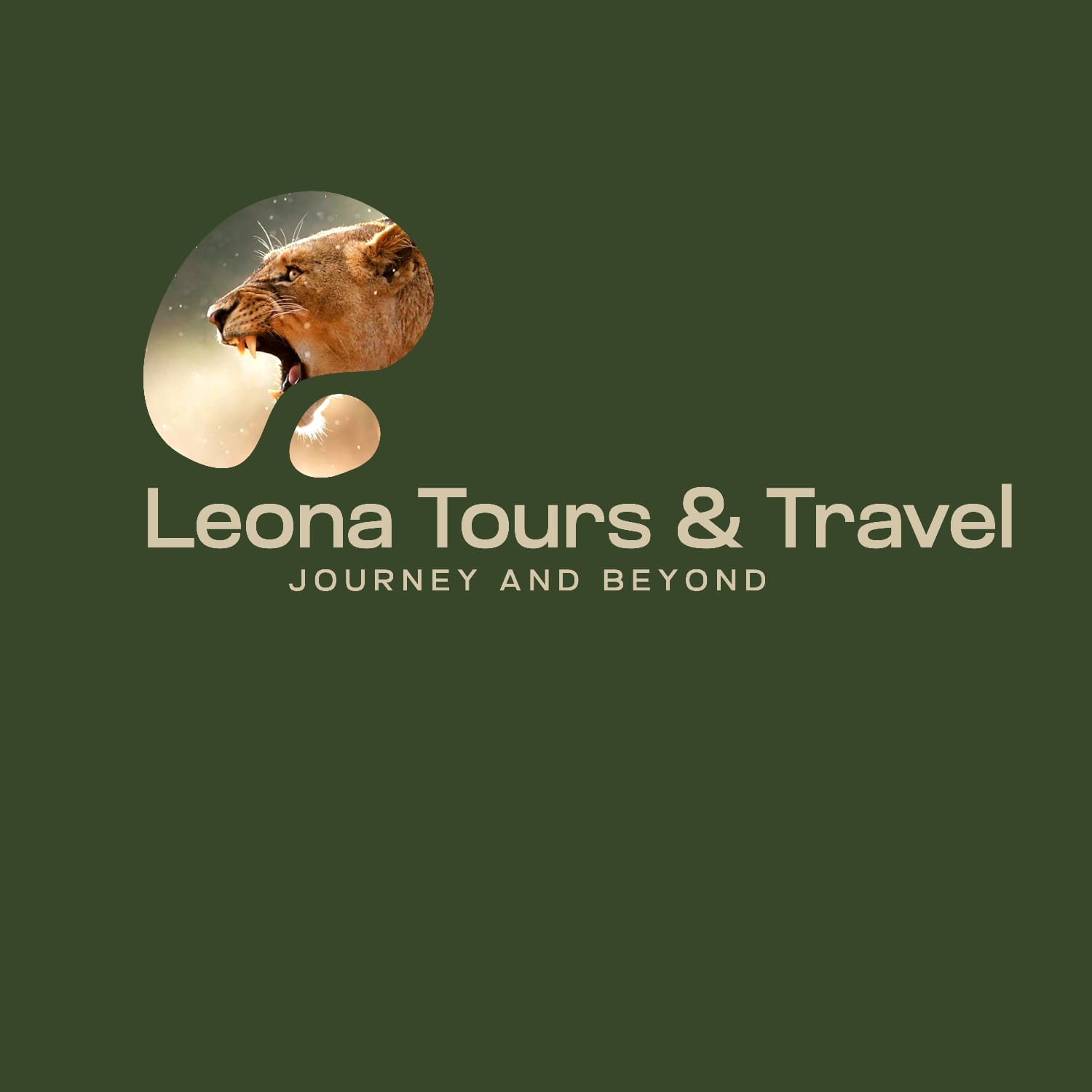 company logo