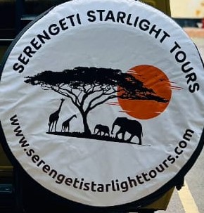 company logo