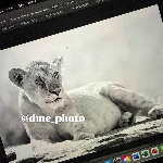 Dmephoto
